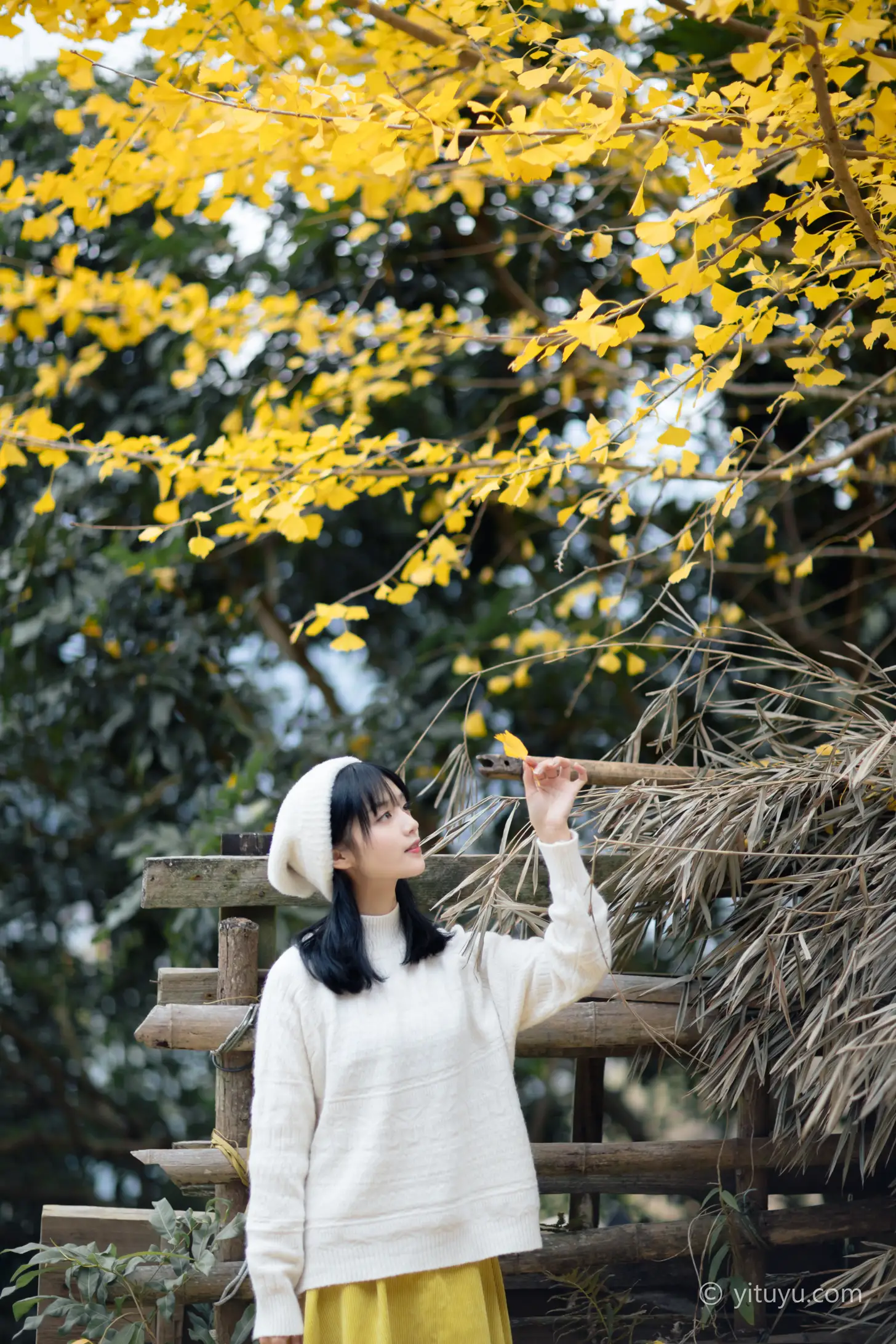 [YITUYU] 2021.08.14 Vol.131 – Ginkgo Love Yuwen#[39P]-10